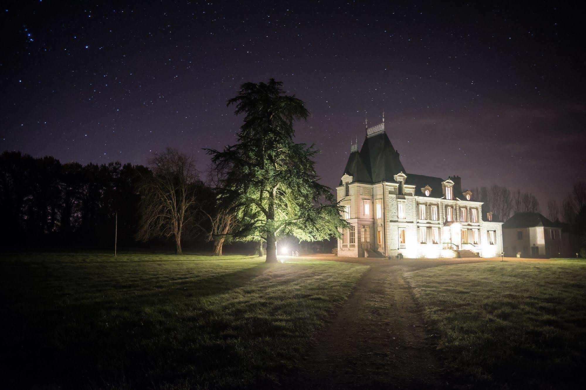 Chateau De La Coutanciere Brain-sur-Allonnes Luaran gambar