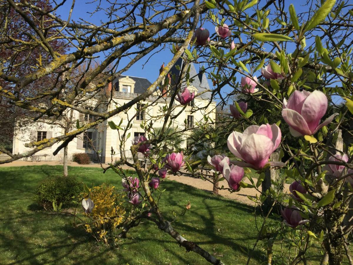 Chateau De La Coutanciere Brain-sur-Allonnes Luaran gambar